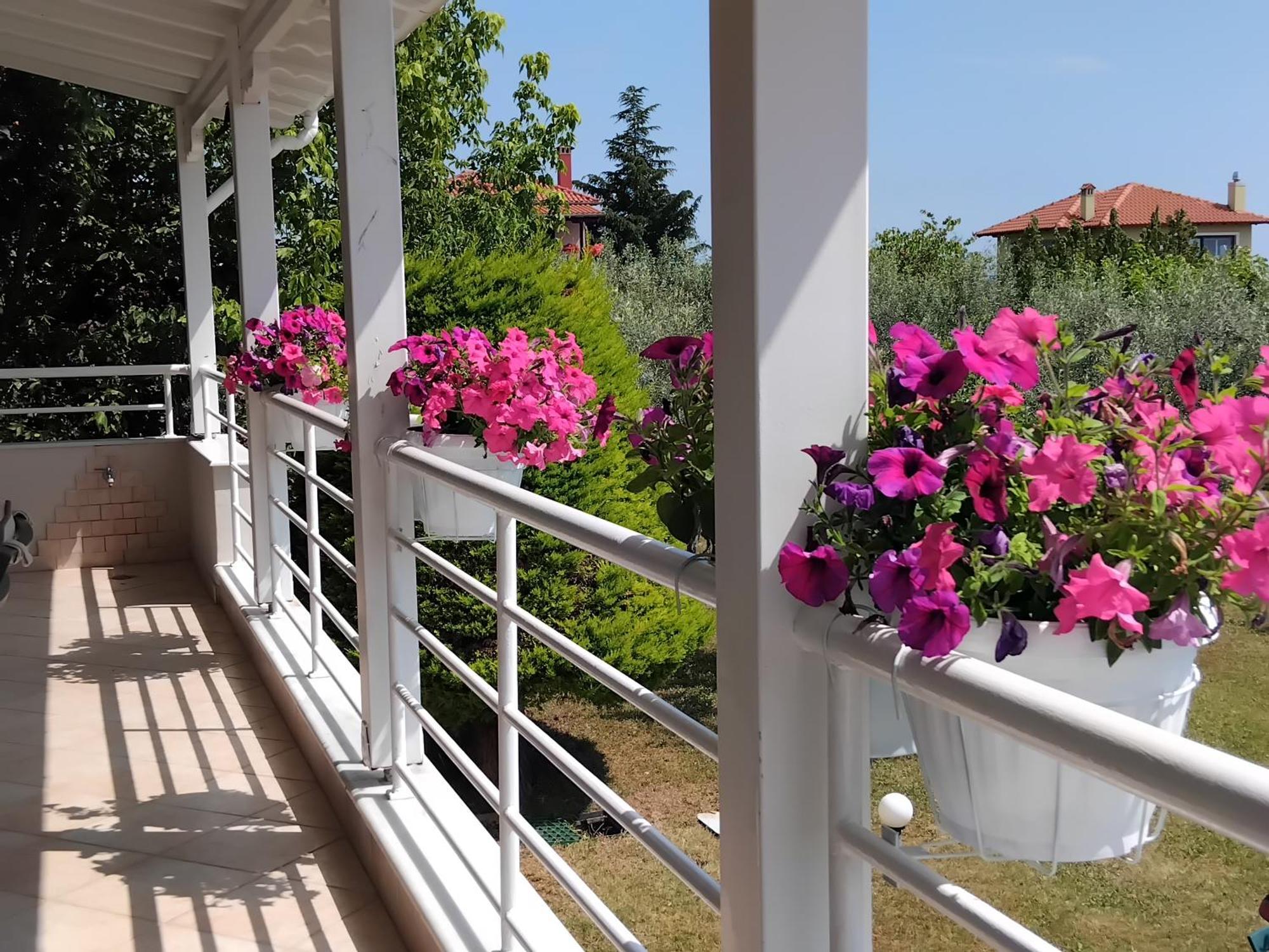 Willa Tammy'S Garden House Leptokaria Zewnętrze zdjęcie