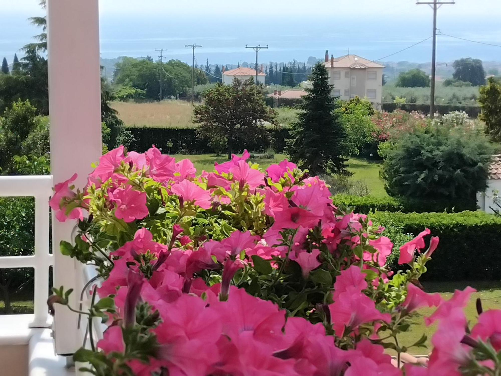 Willa Tammy'S Garden House Leptokaria Zewnętrze zdjęcie