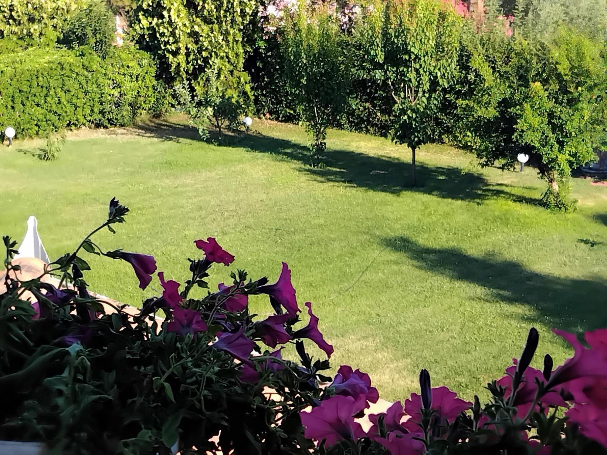 Willa Tammy'S Garden House Leptokaria Zewnętrze zdjęcie
