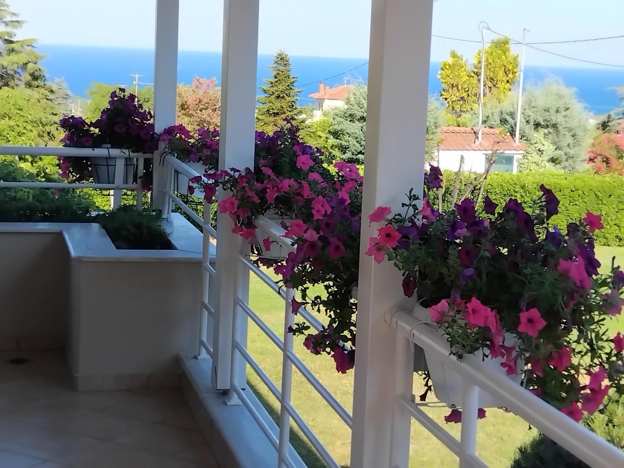 Willa Tammy'S Garden House Leptokaria Zewnętrze zdjęcie